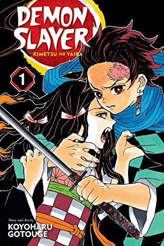Demon Slayer: Kimetsu No Yaiba, Vol. 1 cover image - Demon Slayer- Kimetsu No Yaiba, Vol. 1 cover