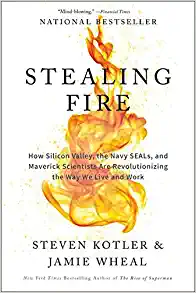 Stealing Fire cover image - Stealing Fire.webp