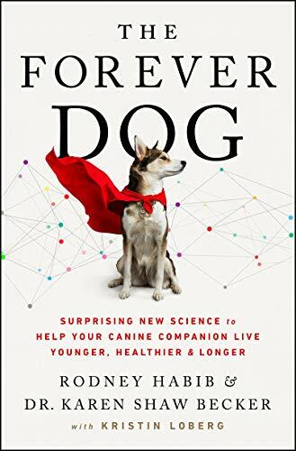 The Forever Dog cover image - The Forever Dog cover