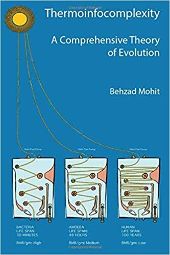 A Comprehensive Theory of Evolution cover image - A Comprehensive Theory of Evolution.jpg