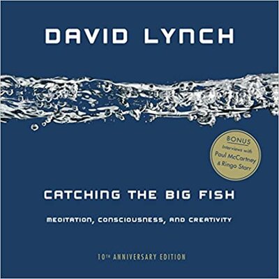 Catching the Big Fish cover image - catching-the-big-fish.jpg