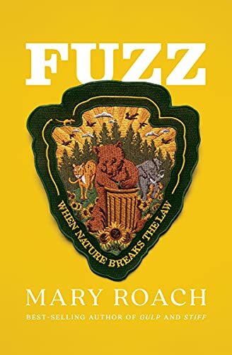 Fuzz cover image - Fuzz cover